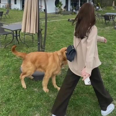 女子推理社第二季